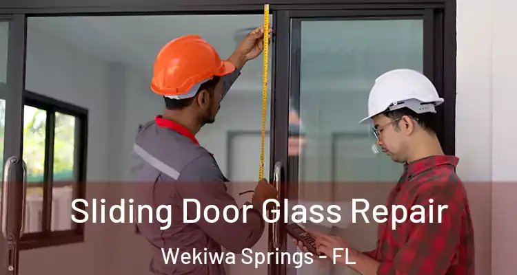  Sliding Door Glass Repair Wekiwa Springs - FL