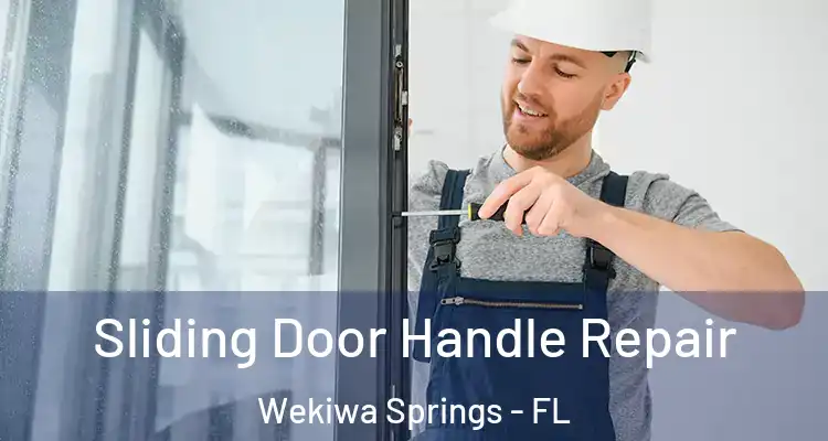  Sliding Door Handle Repair Wekiwa Springs - FL