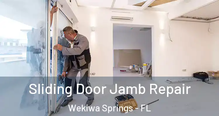  Sliding Door Jamb Repair Wekiwa Springs - FL