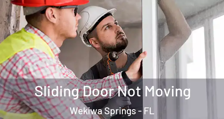  Sliding Door Not Moving Wekiwa Springs - FL