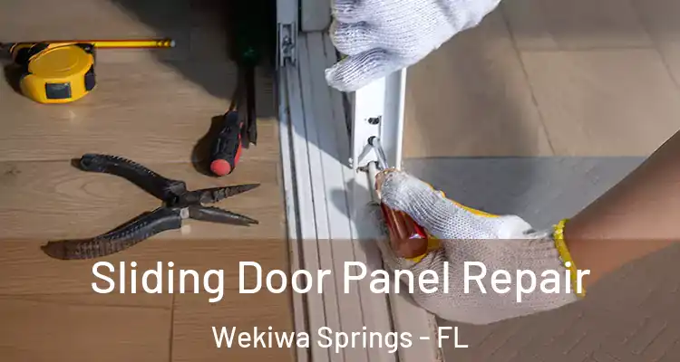  Sliding Door Panel Repair Wekiwa Springs - FL