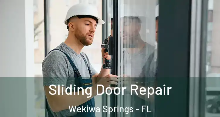  Sliding Door Repair Wekiwa Springs - FL