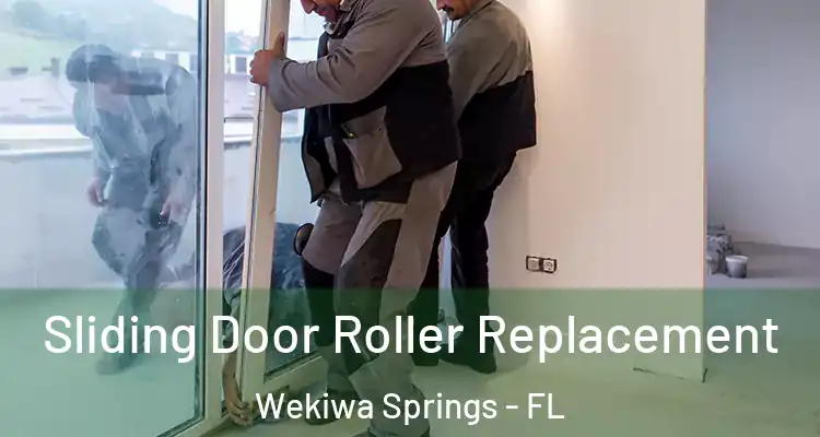  Sliding Door Roller Replacement Wekiwa Springs - FL