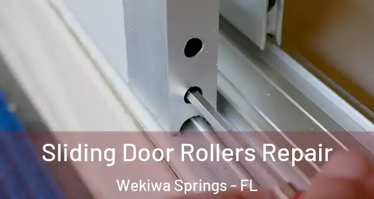  Sliding Door Rollers Repair Wekiwa Springs - FL