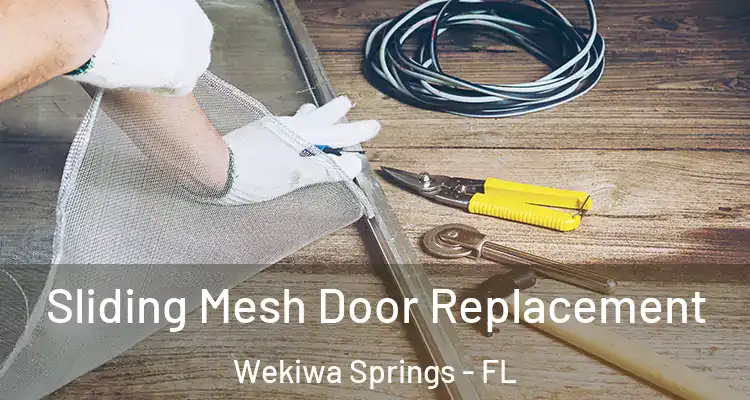  Sliding Mesh Door Replacement Wekiwa Springs - FL