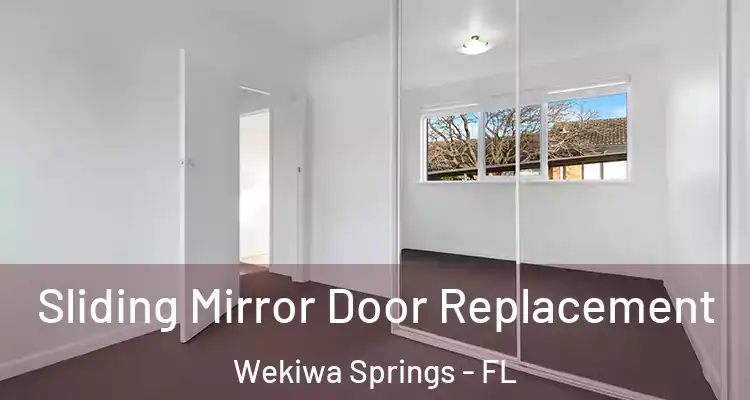  Sliding Mirror Door Replacement Wekiwa Springs - FL
