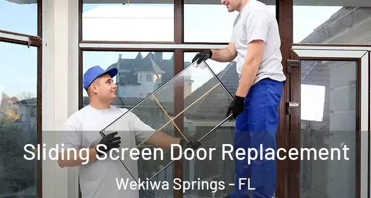  Sliding Screen Door Replacement Wekiwa Springs - FL