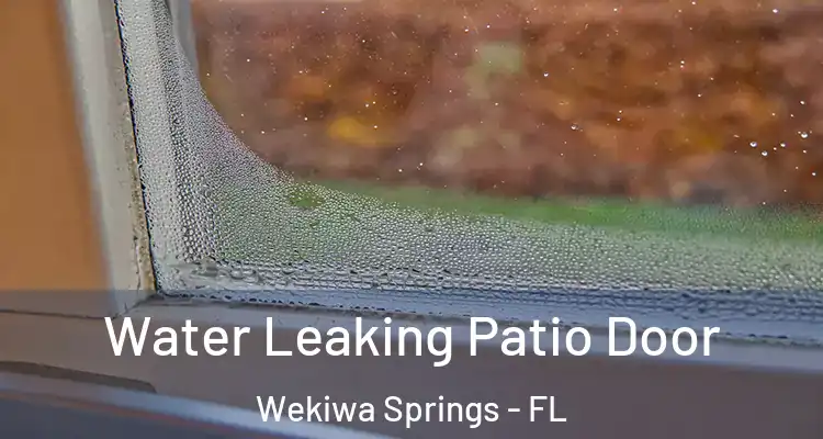  Water Leaking Patio Door Wekiwa Springs - FL