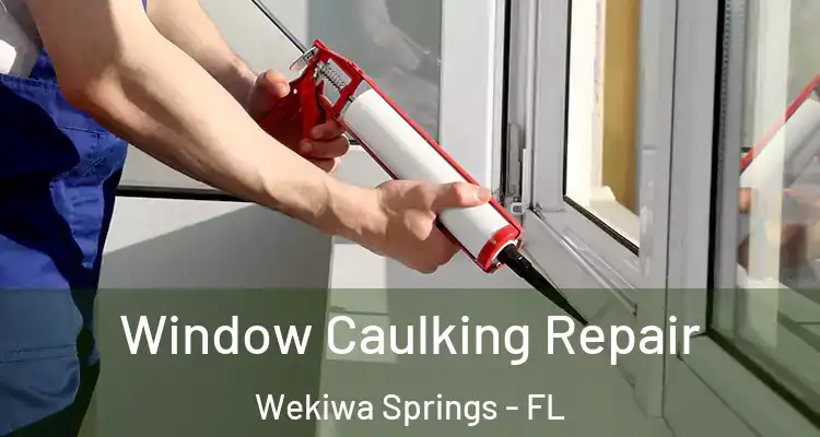  Window Caulking Repair Wekiwa Springs - FL