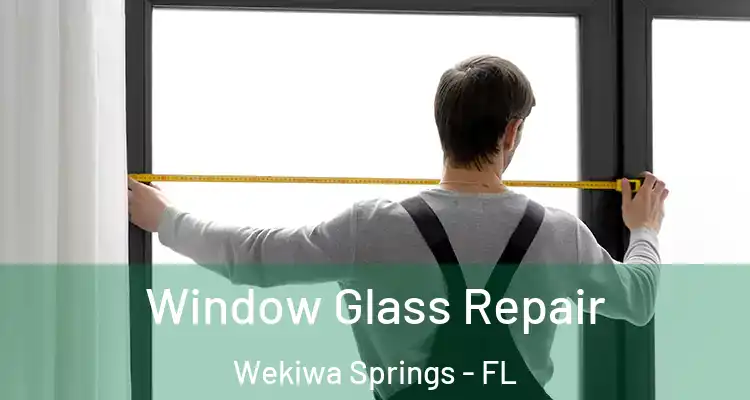  Window Glass Repair Wekiwa Springs - FL