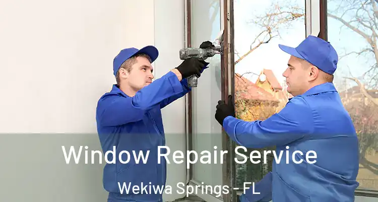  Window Repair Service Wekiwa Springs - FL