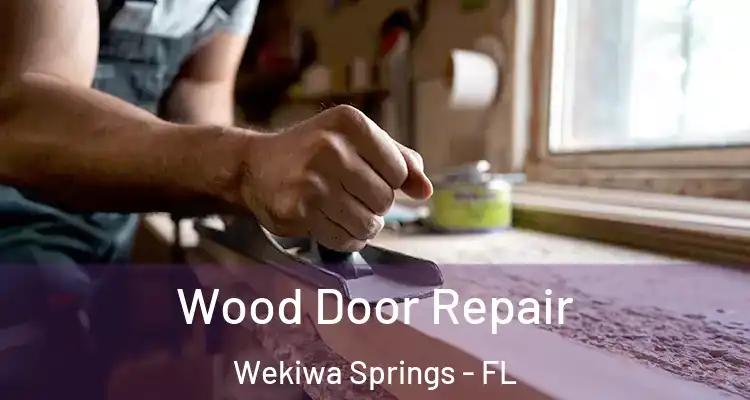  Wood Door Repair Wekiwa Springs - FL